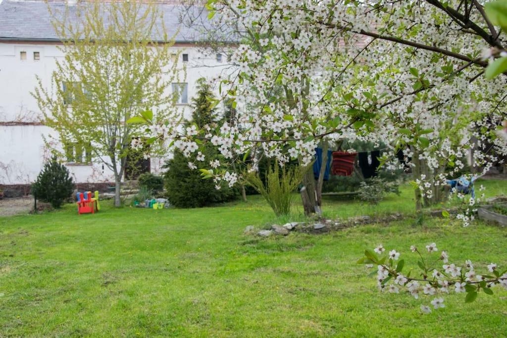 Gospodarstwo U Krakusa Doboszowice Kültér fotó