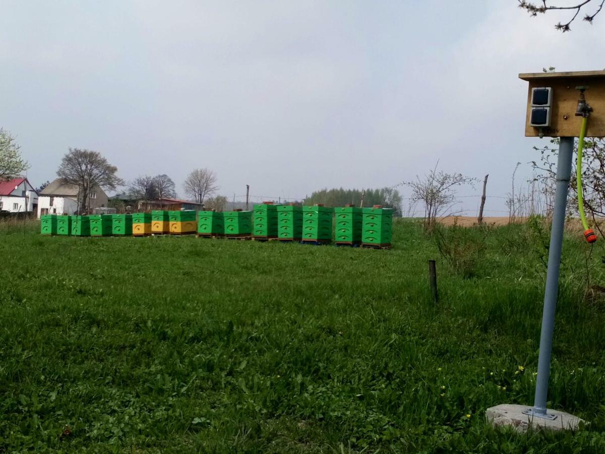Gospodarstwo U Krakusa Doboszowice Kültér fotó